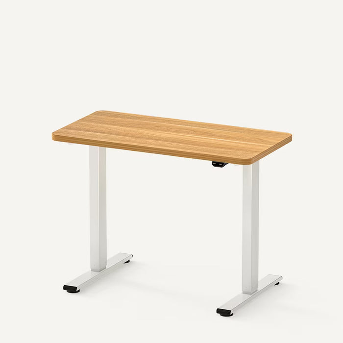 Flexispot E2 Essential Standing Desk